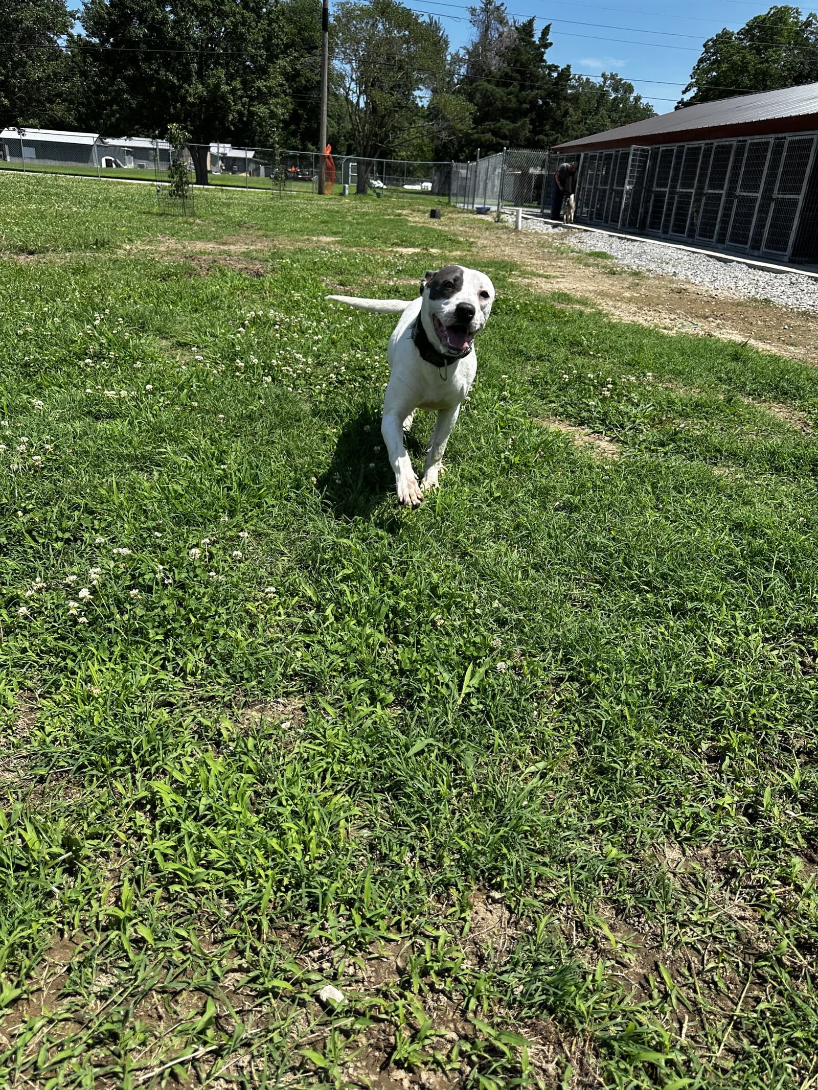 Rye