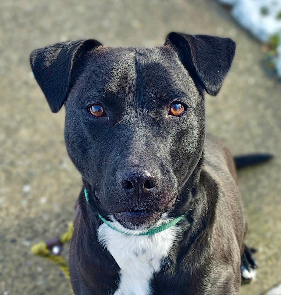 Marley