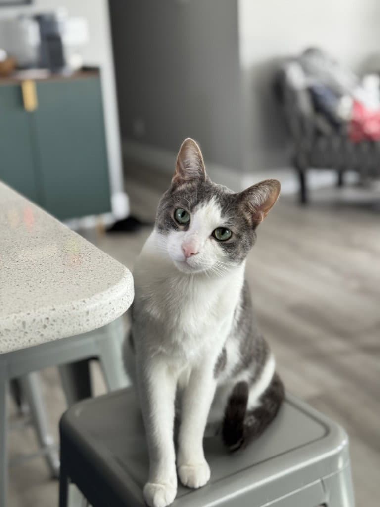 Leo