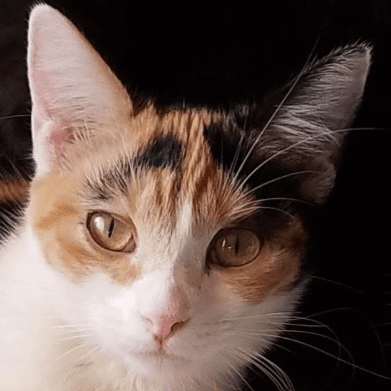 Rosie (Wilma)