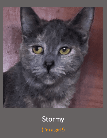 Stormy