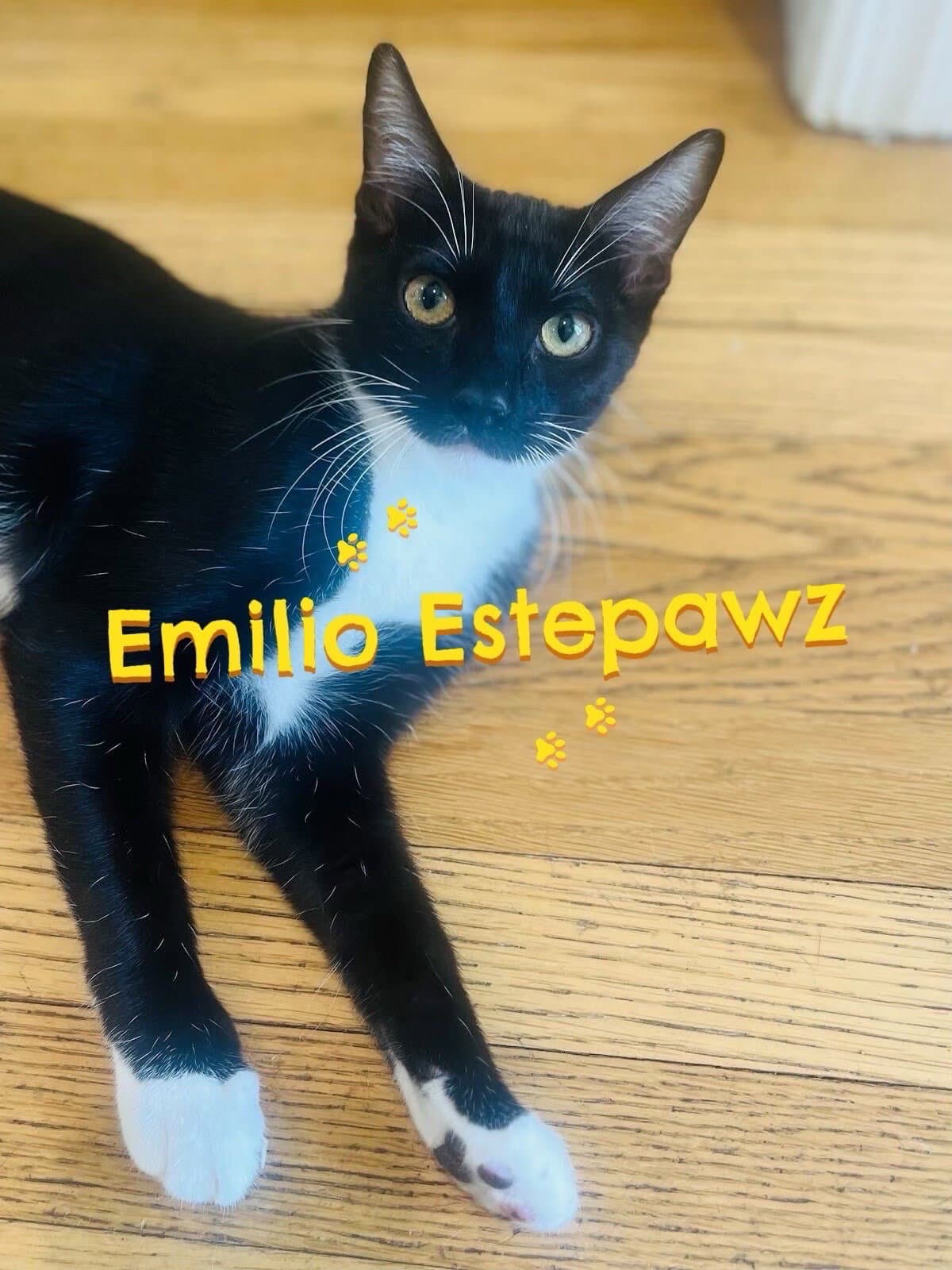 Emilio Estepawz