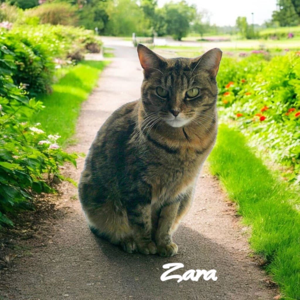 Zara
