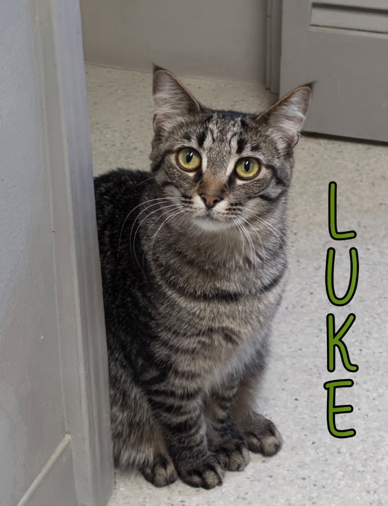 Luke