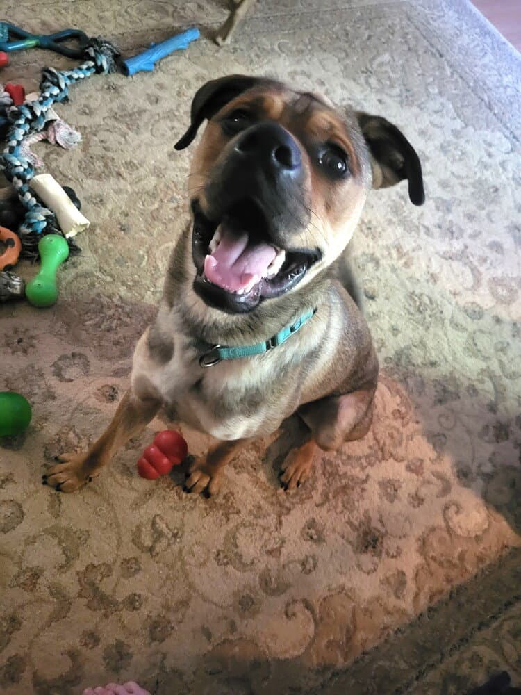 Winston