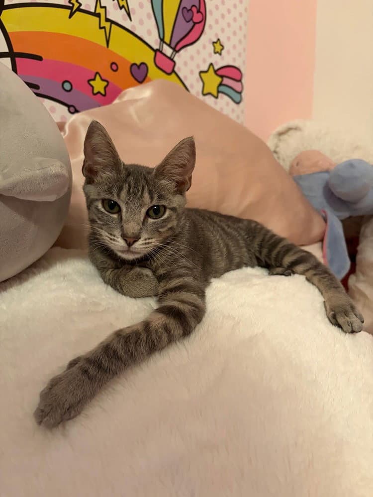 Max