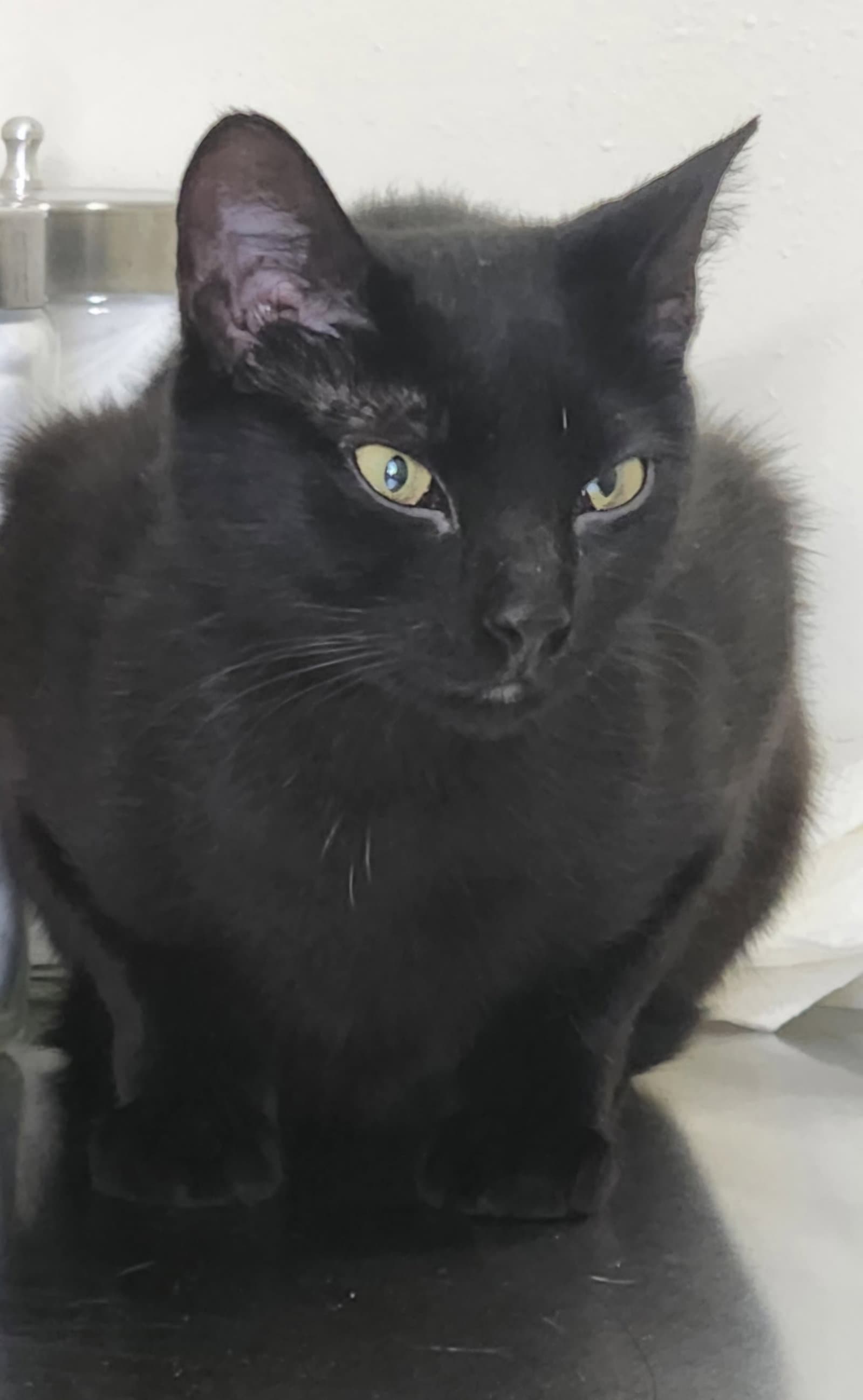 Mia