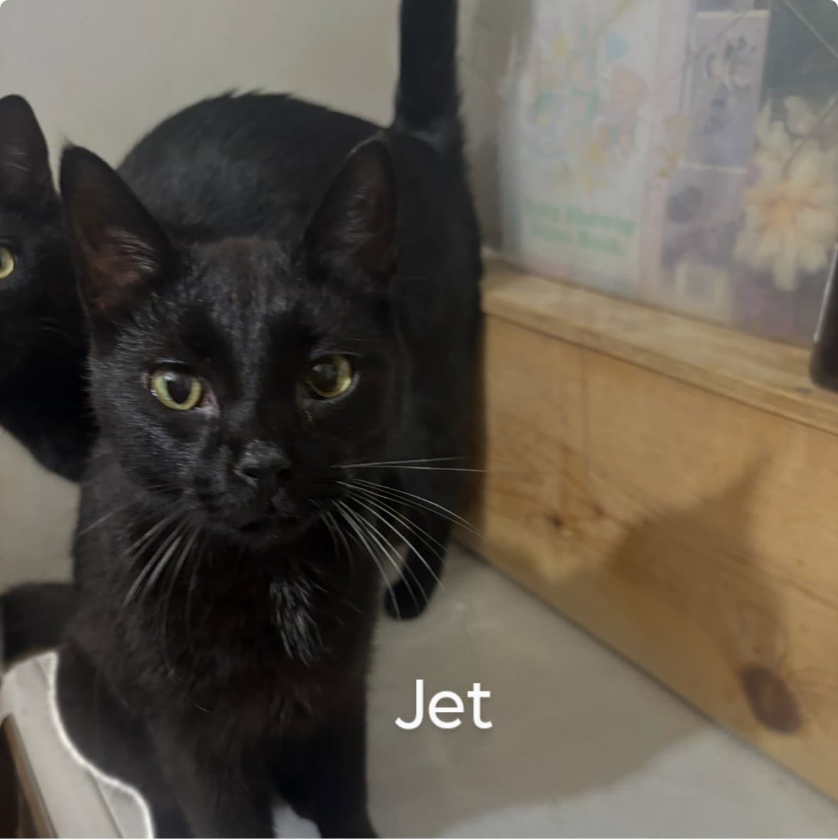 Jett