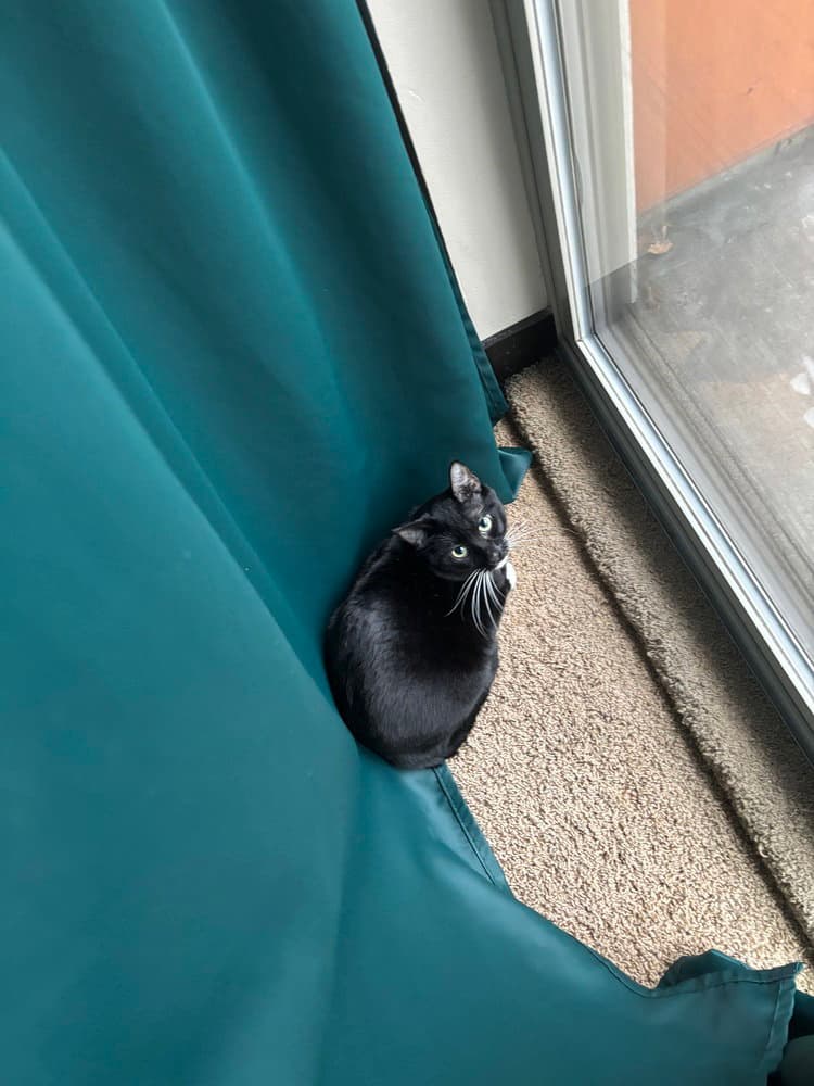 Jack