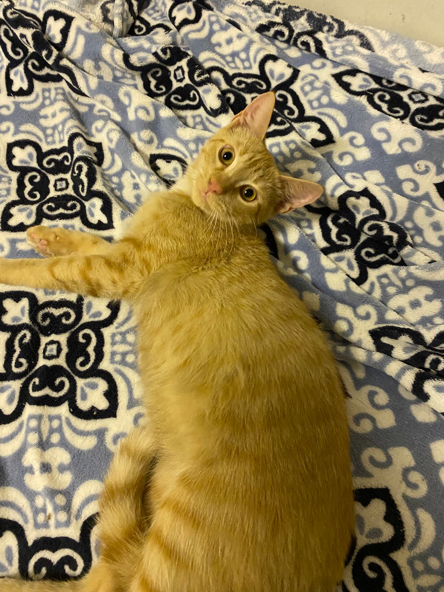 Jack