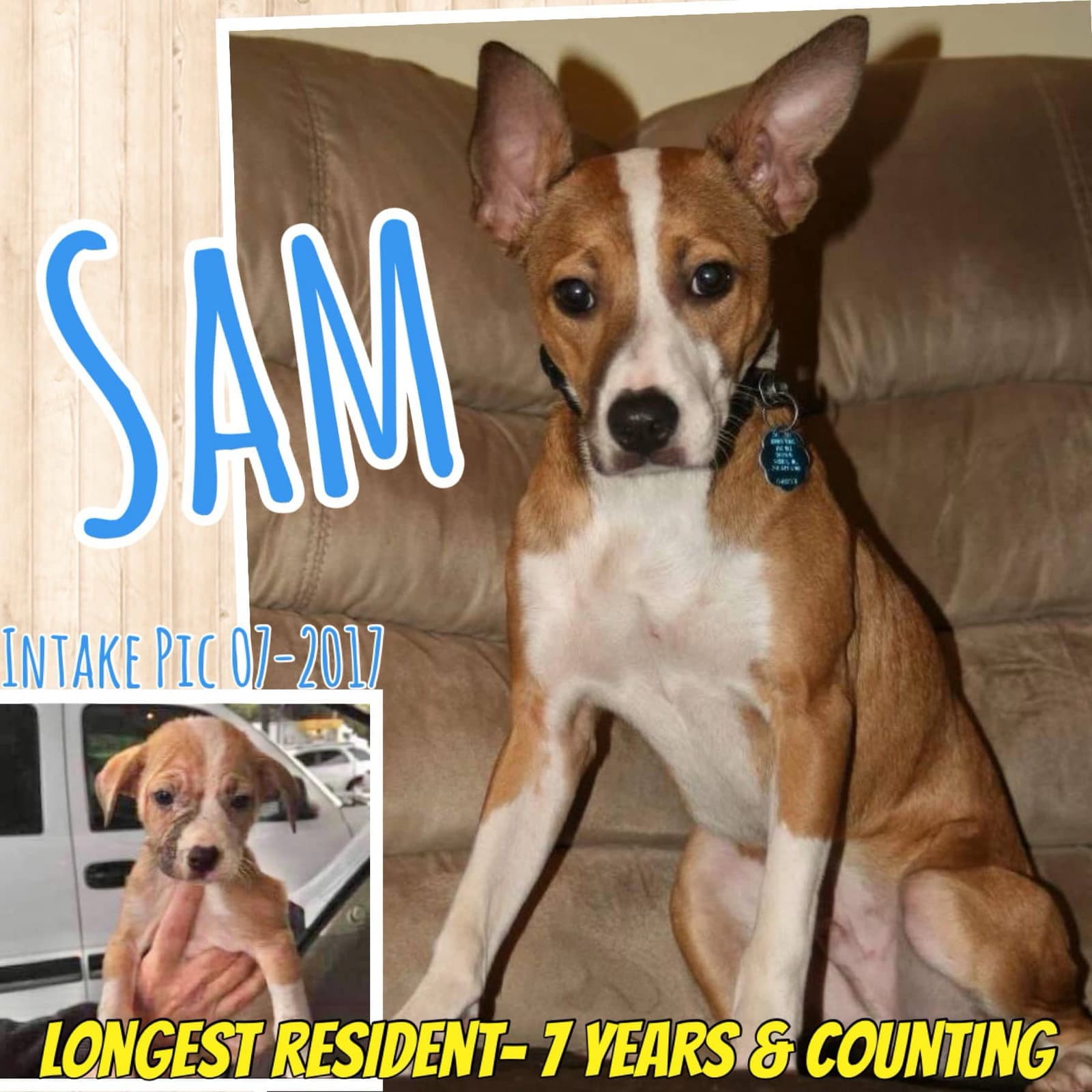 Sam