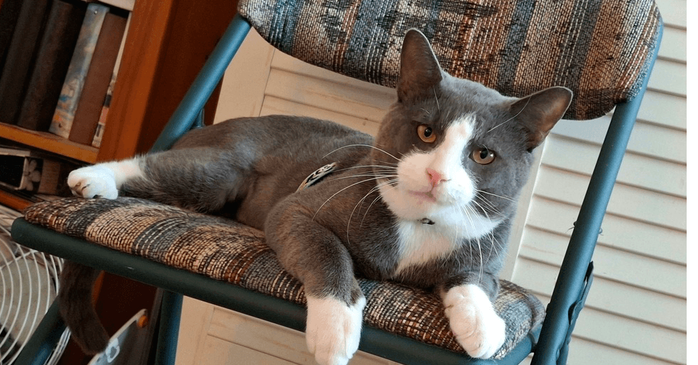 Oliver
