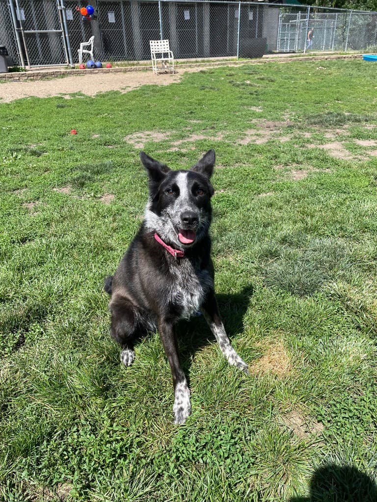 Abby- for sponsorship only