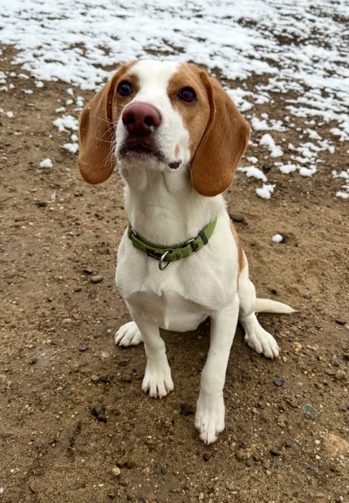 Jace-in a Foster Home