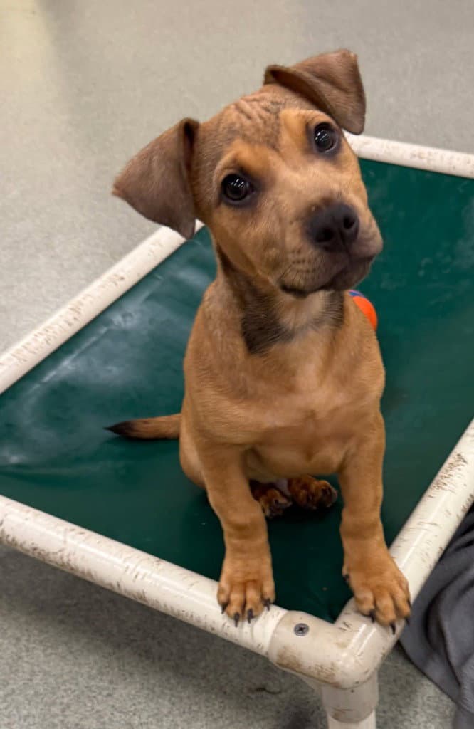 Tuck- in a foster home