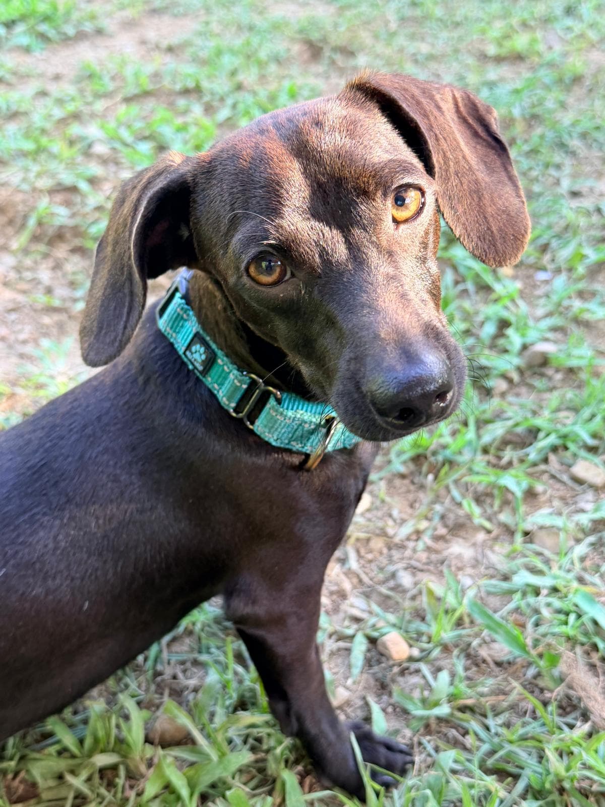 Luna