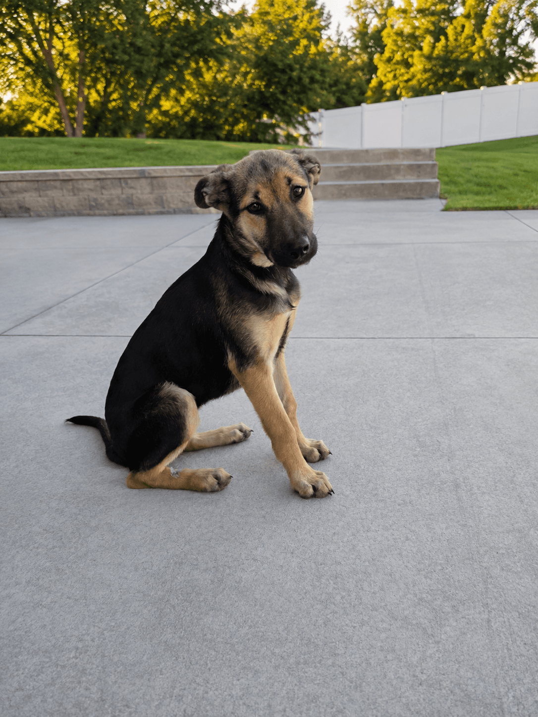 Denali