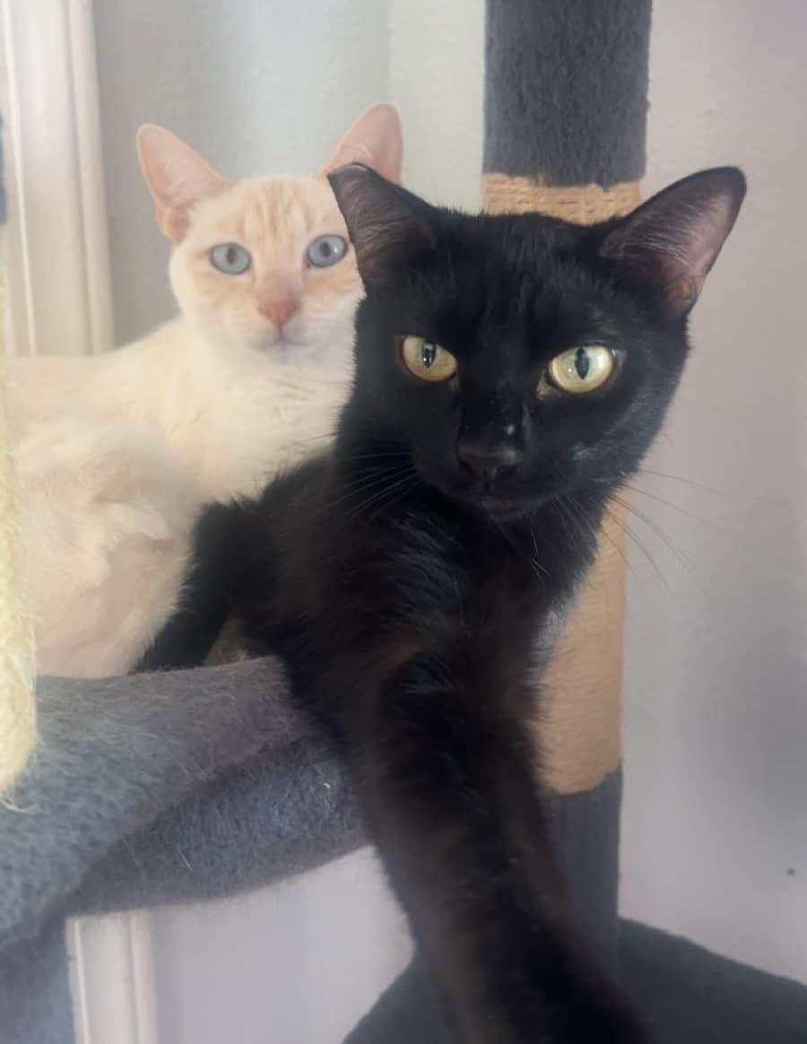 Miesha (& Lucky)