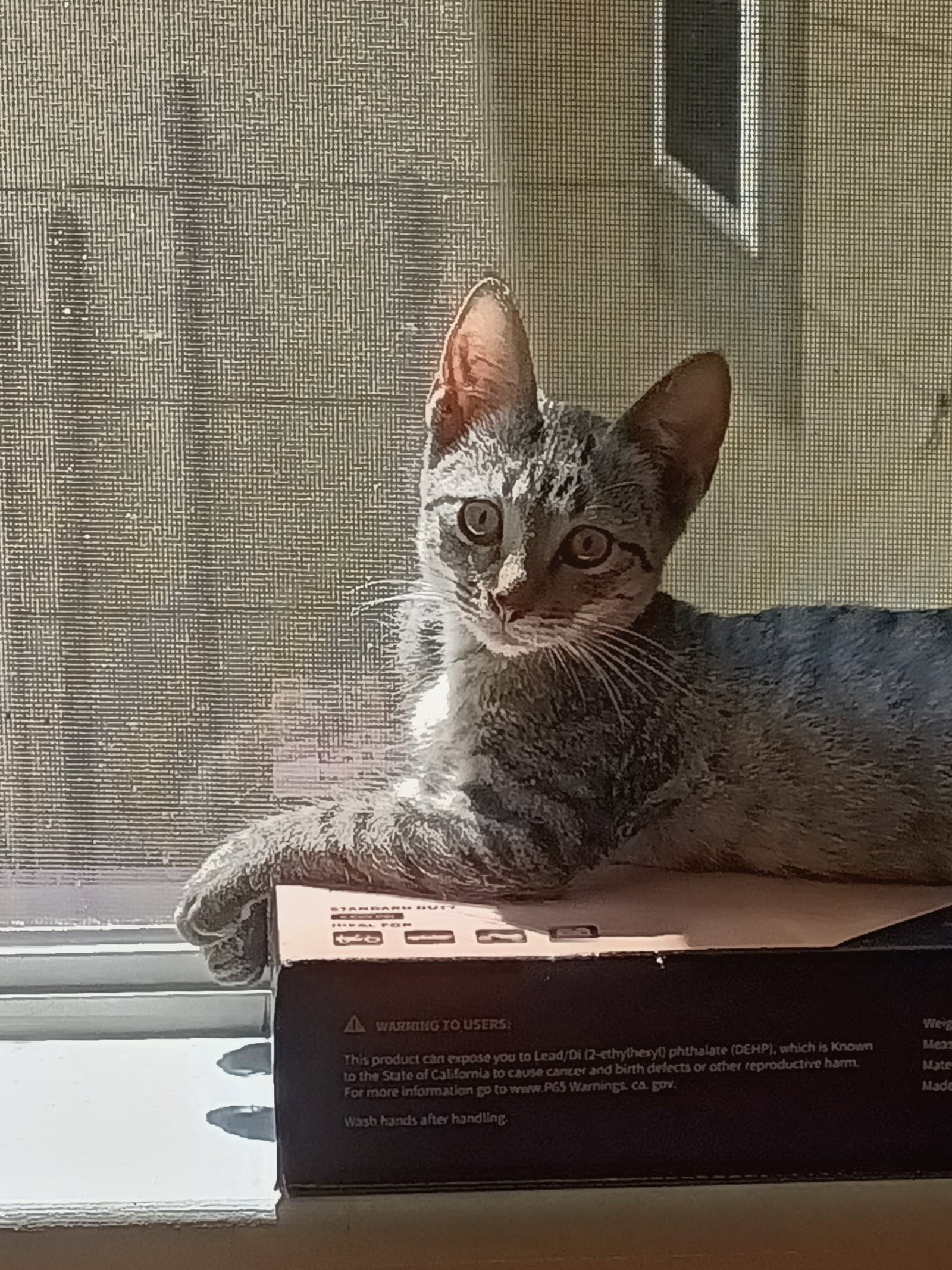 Skeeter
