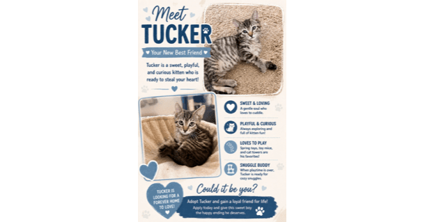 Tucker