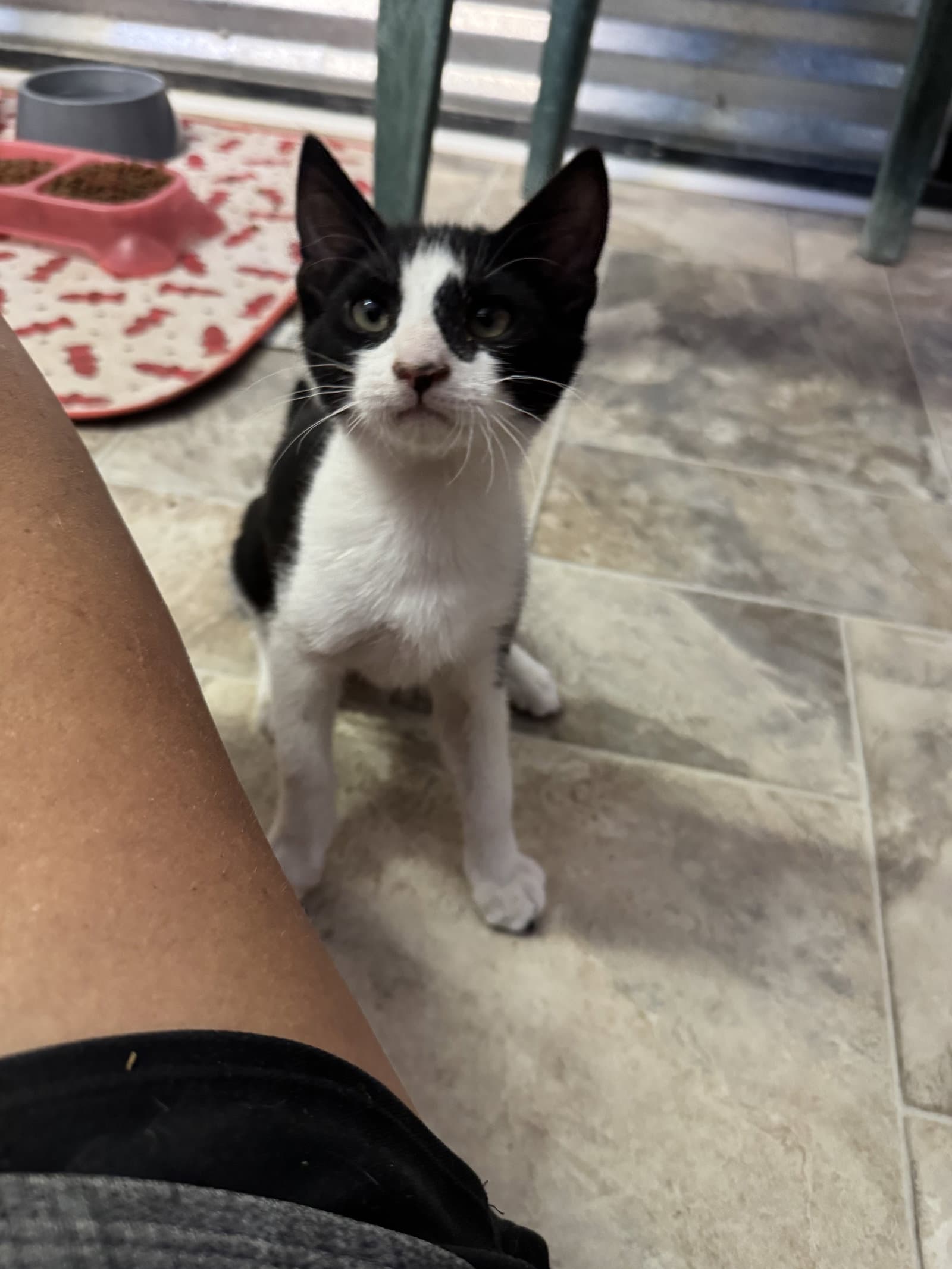 Tiny Tim
