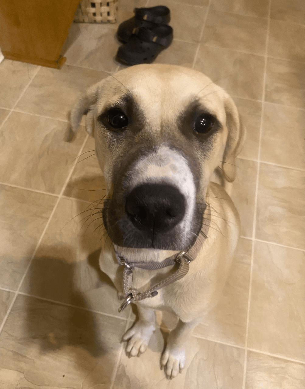 Stella- Yatesville Ga