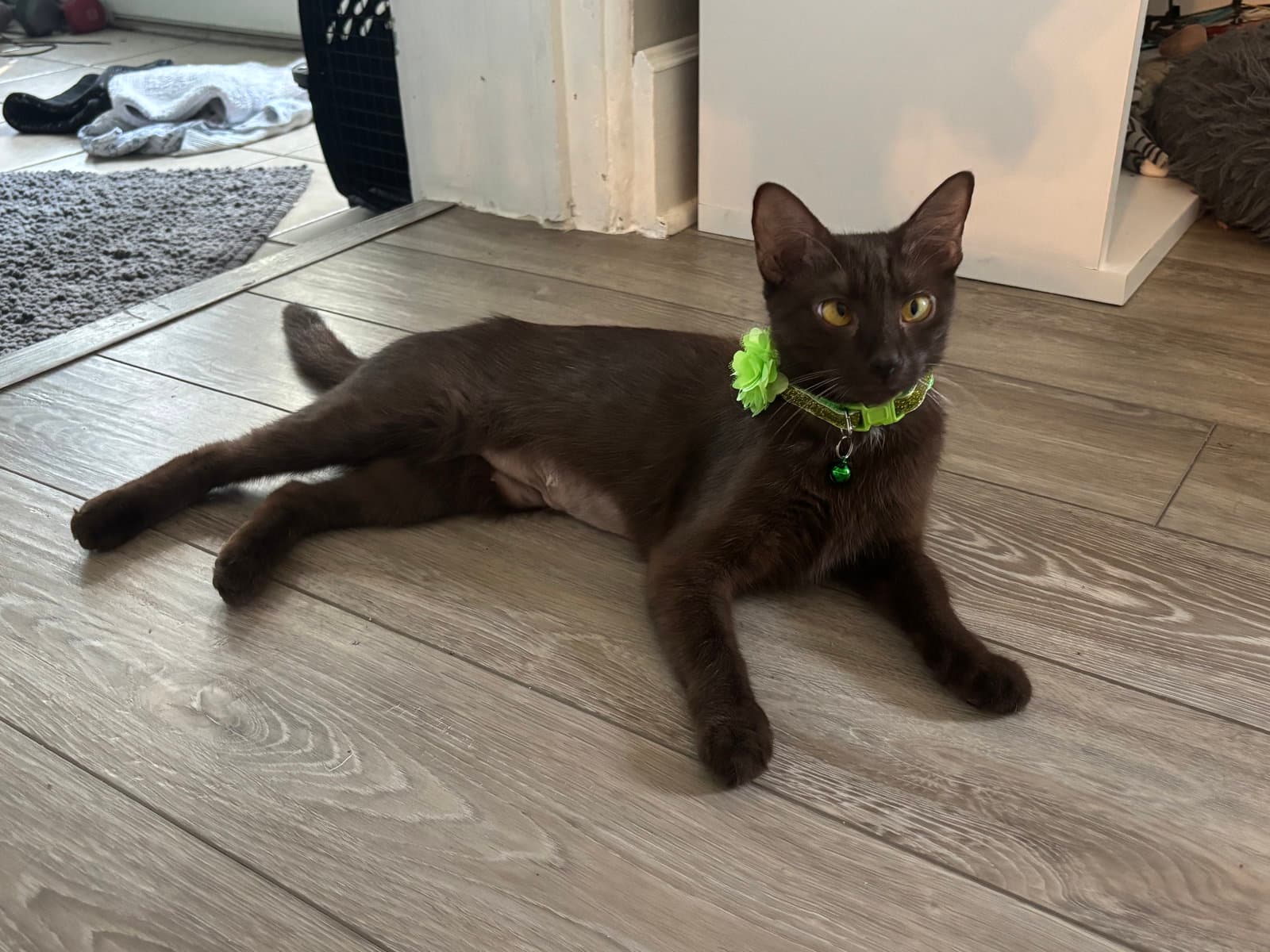 Heidi