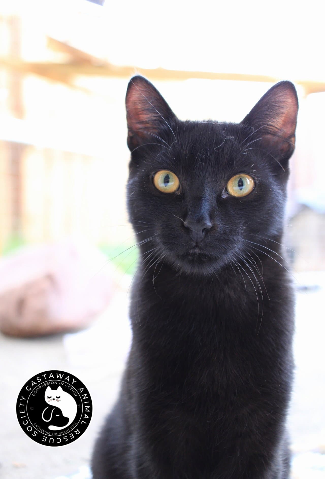 Binx