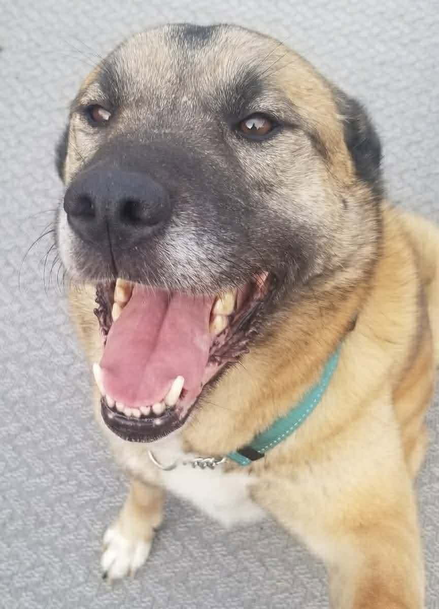 Keeta