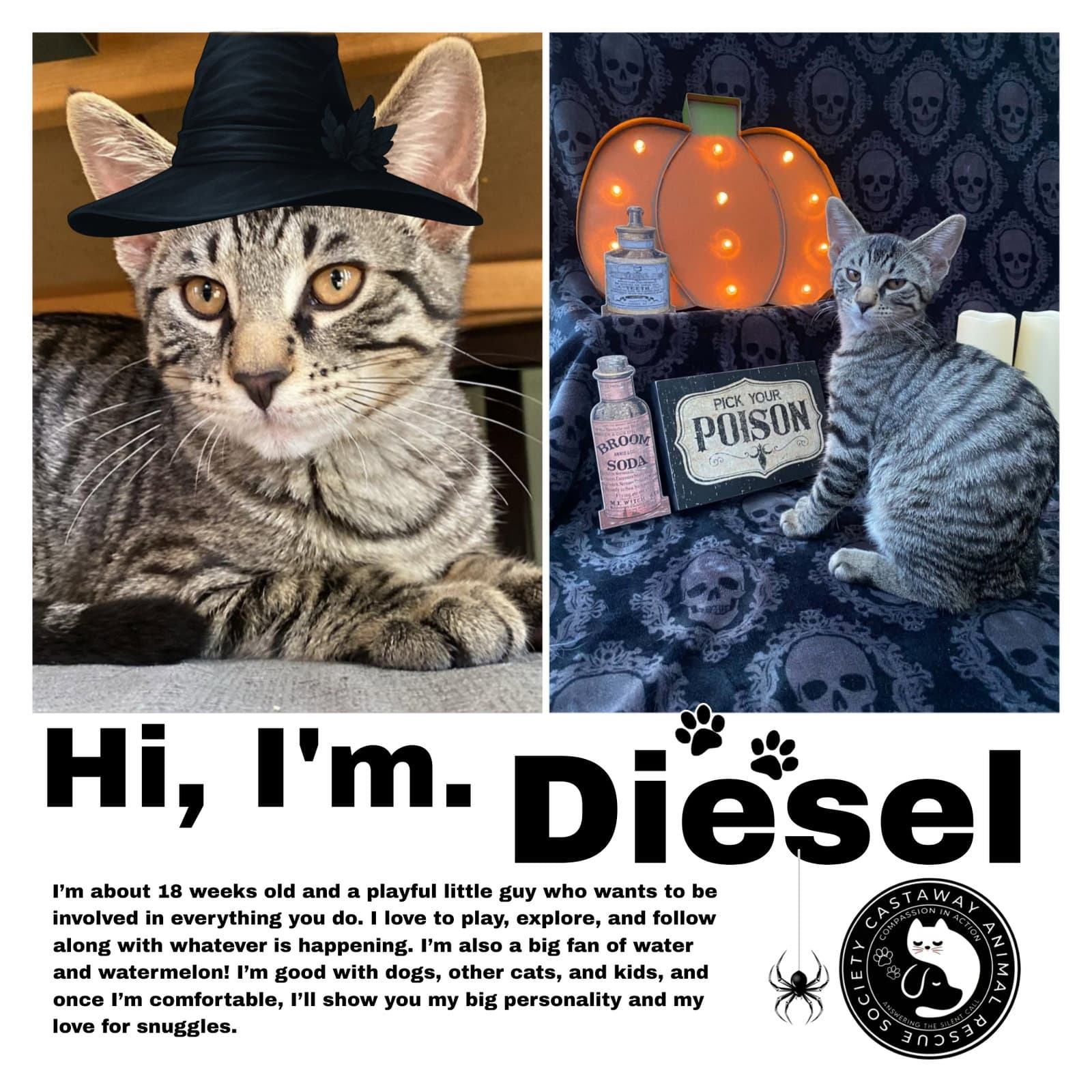 Diesel