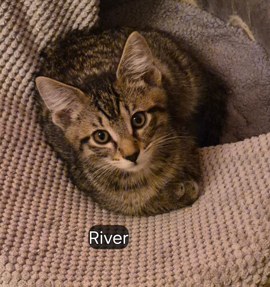 River