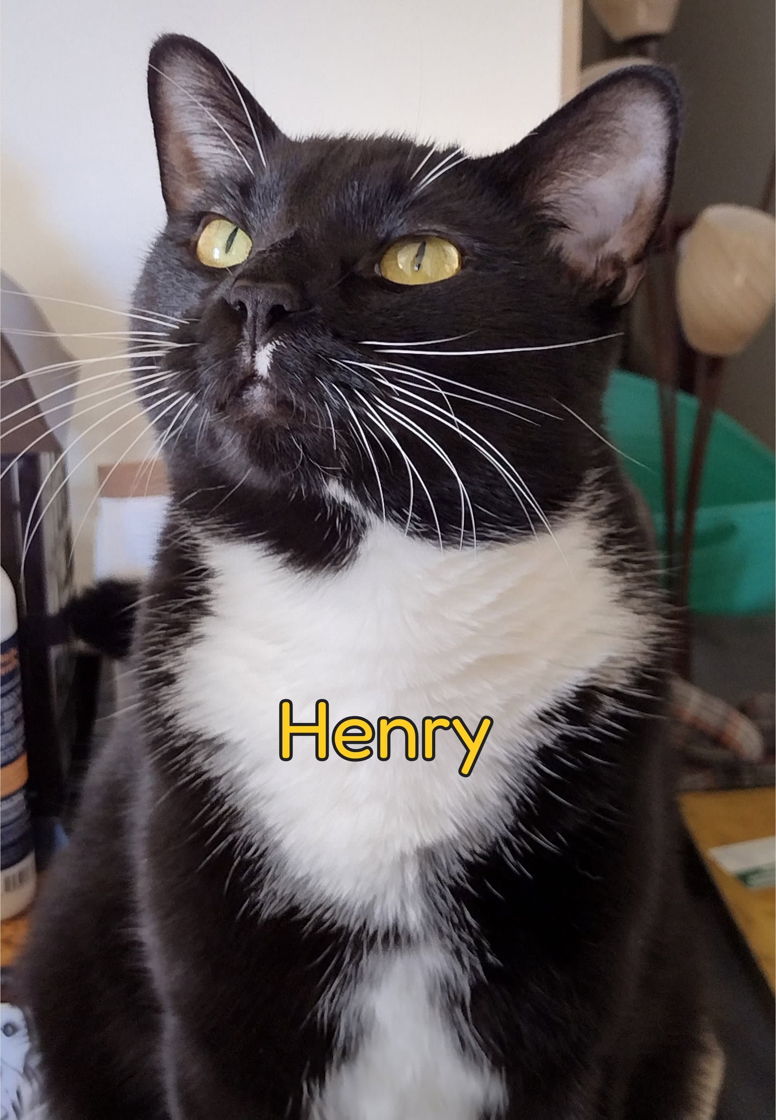 Henry