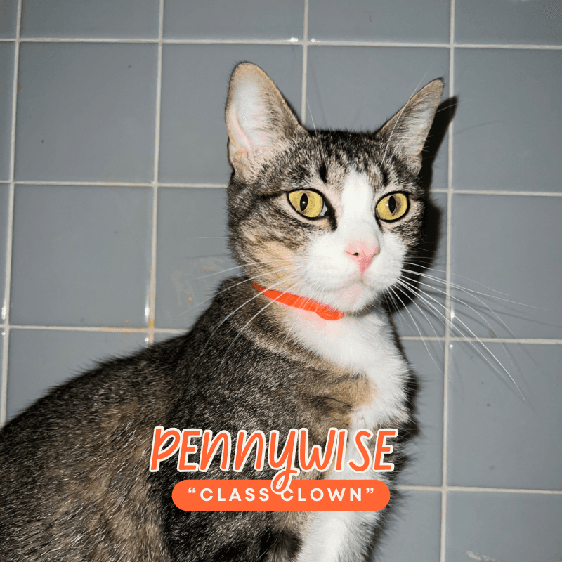 Pennywise