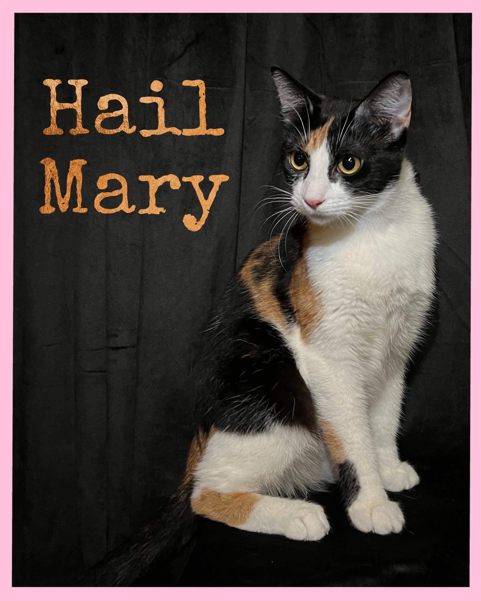 Hail Mary
