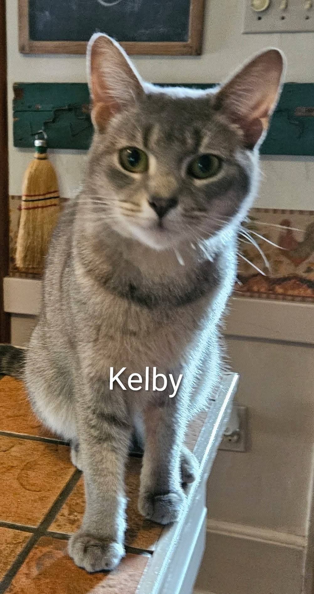 Kelby