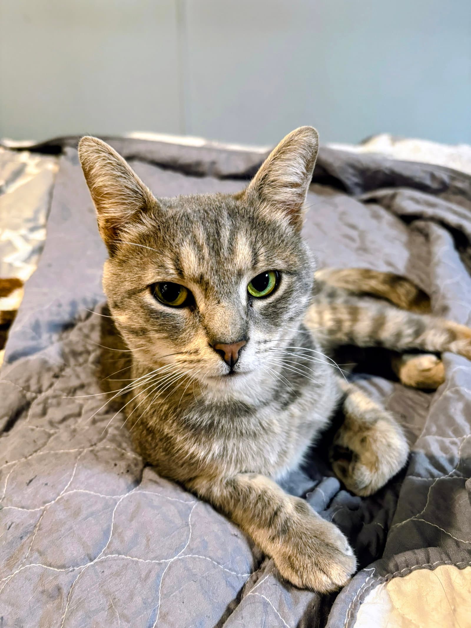 Romeo