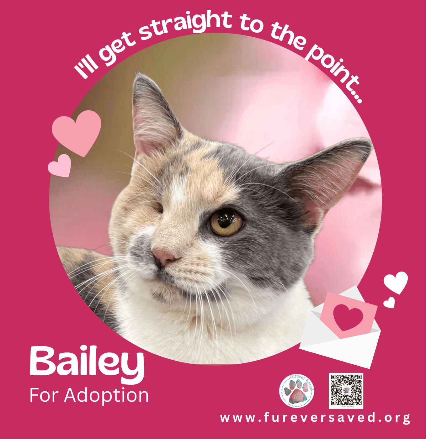 Bailey