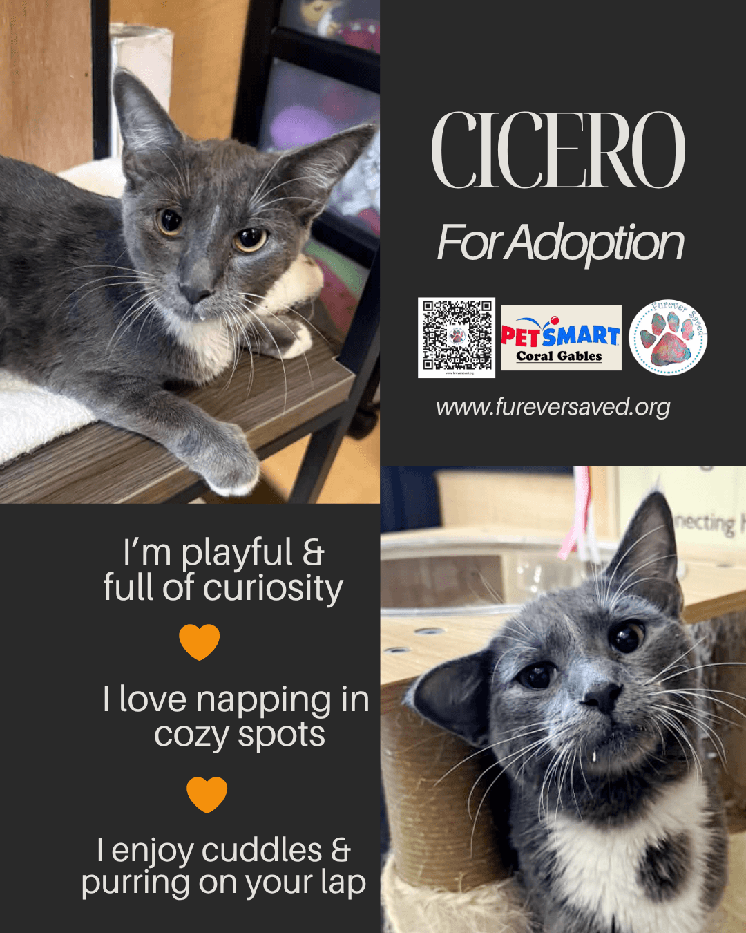 Cicero