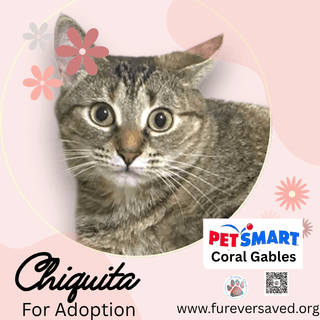 Chiquita