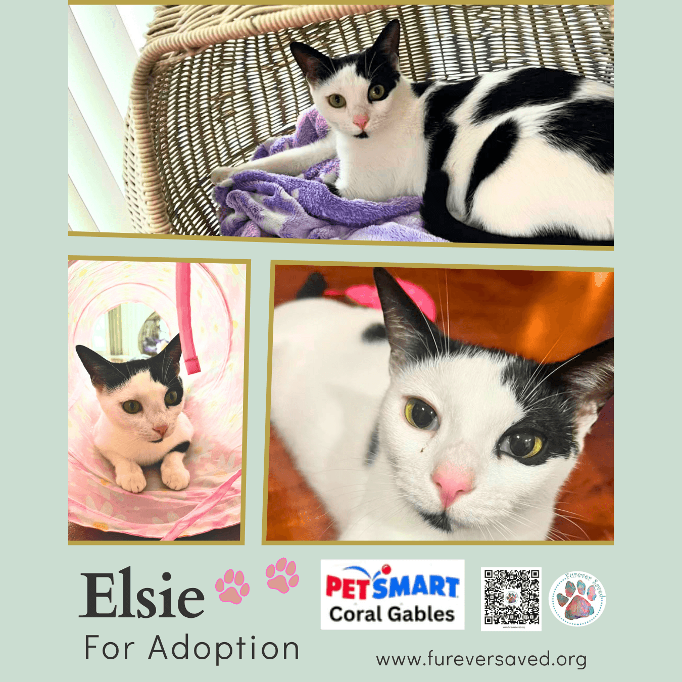 Elsie