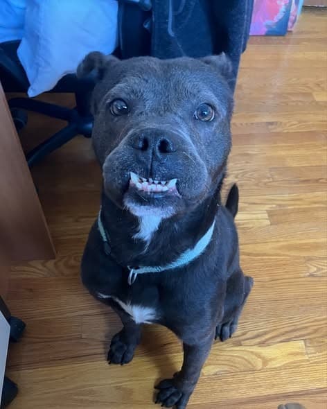 Jid aka jeddy bear