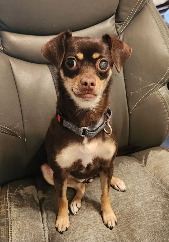 Mia