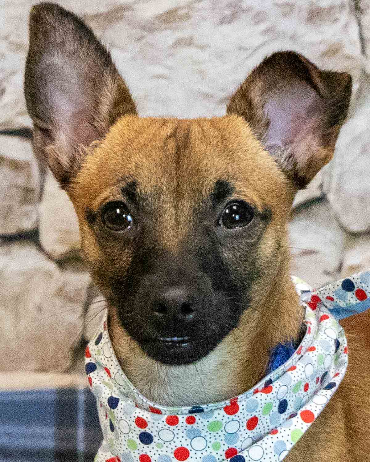 Buster