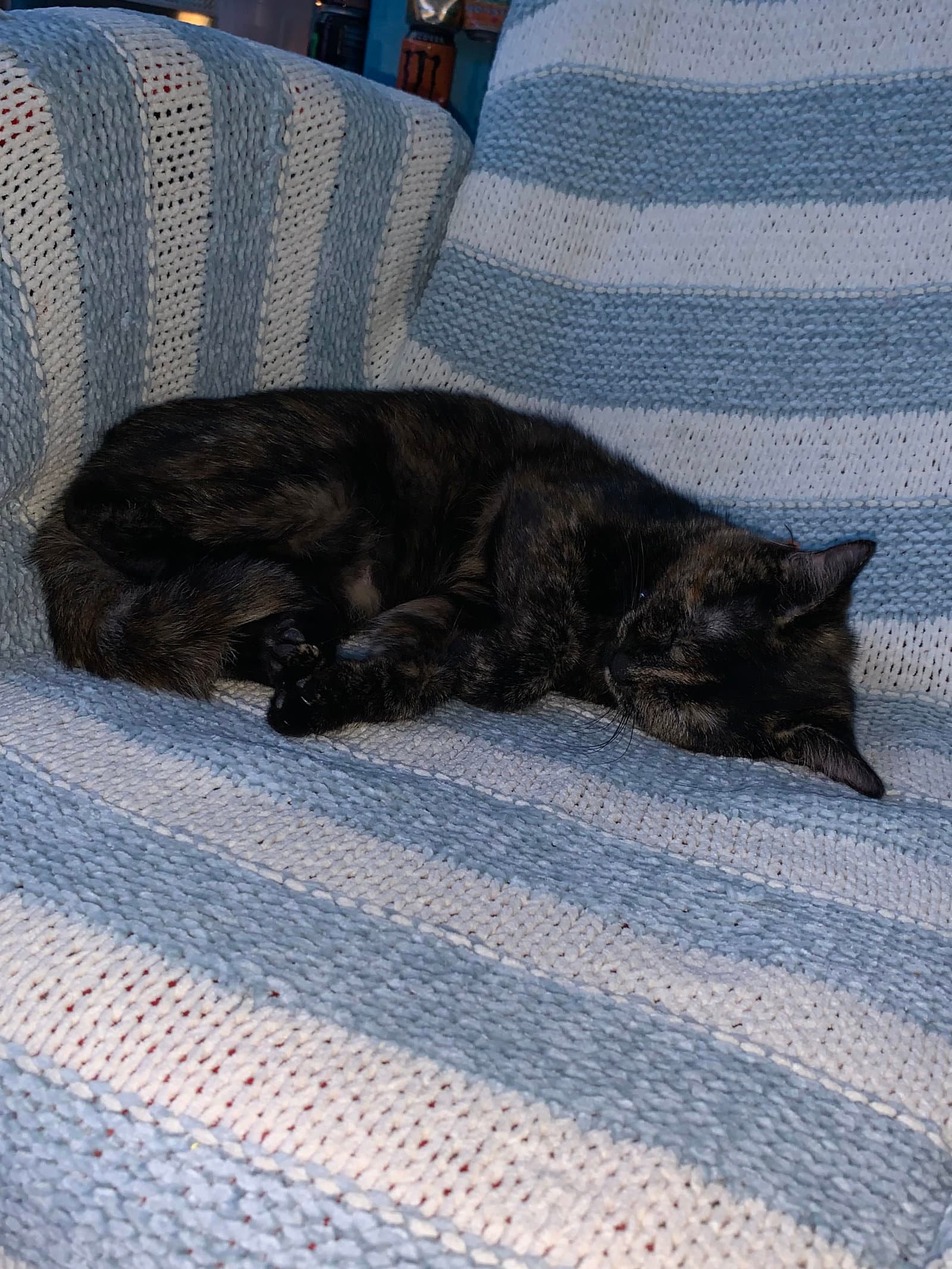 zz "Bean" courtesy listing
