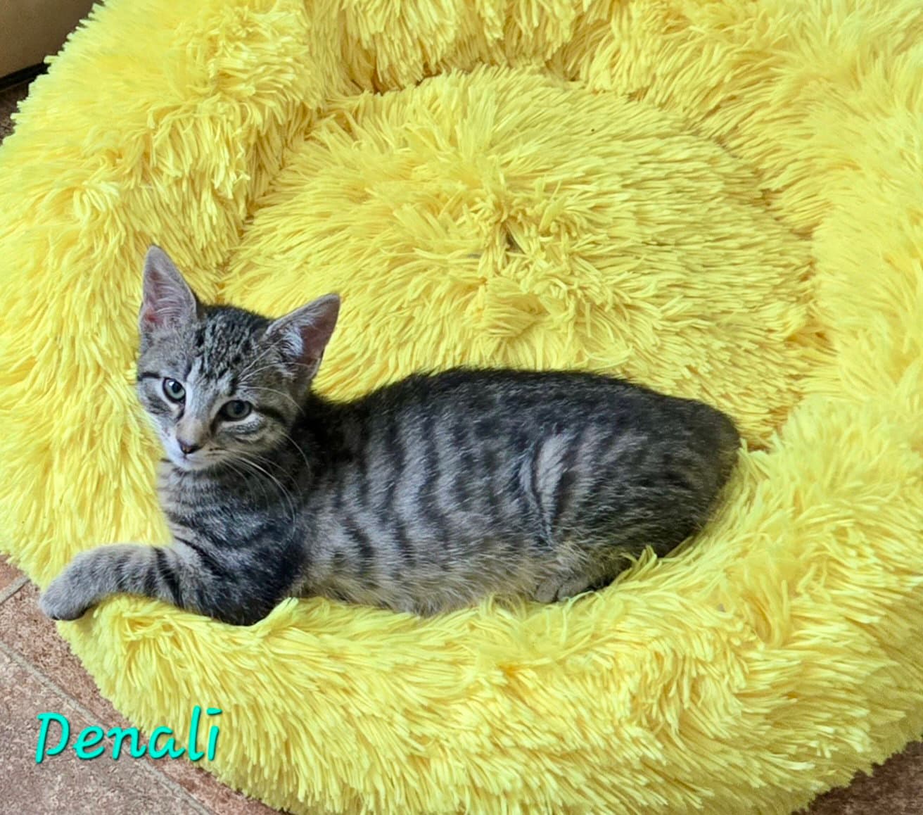 Denali