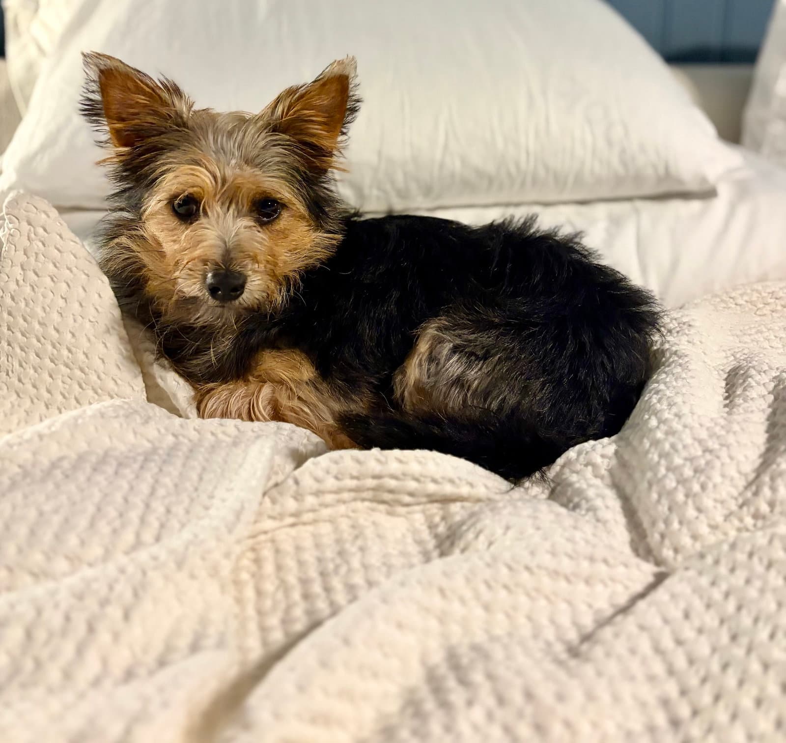A Beckett
