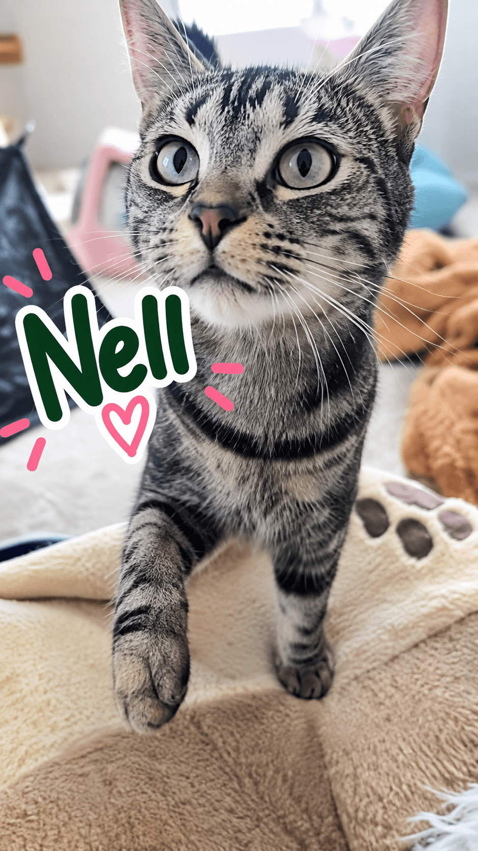 Nell and Theodora (bonded)