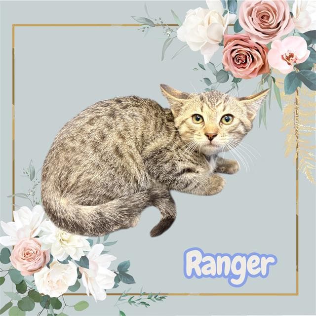 *Ranger