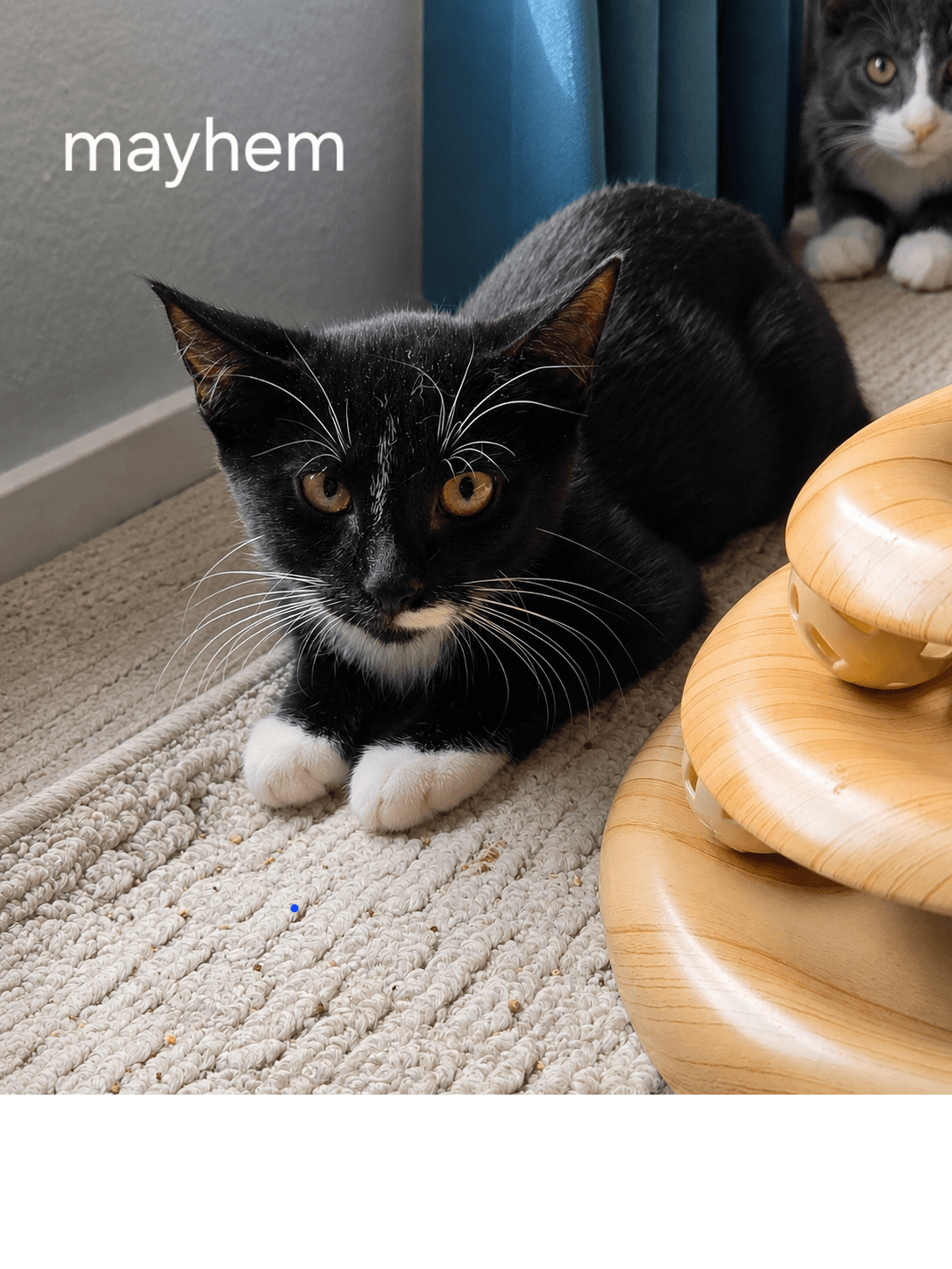 Mayhem