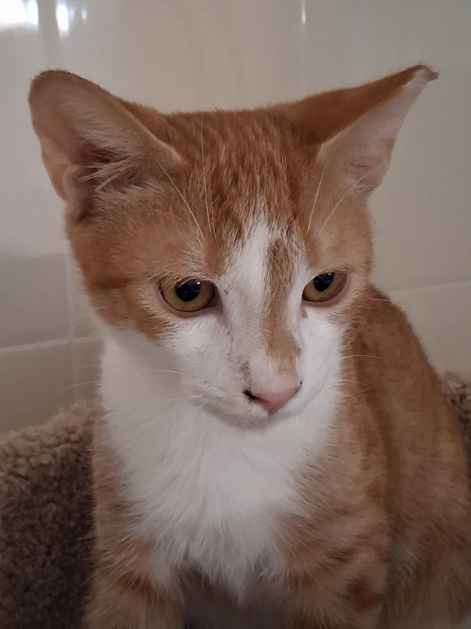 Walter